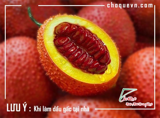 Hướng dẫn làm dầu gấc chất lượng cao tại nhà